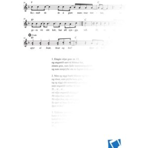 Eingin vitjar grøv nr. 13