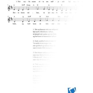 Teir seyðamenn sótu um miðjunátt