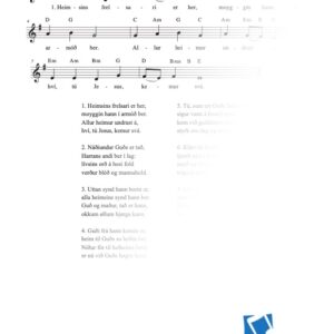 Heimsins frelsari er her